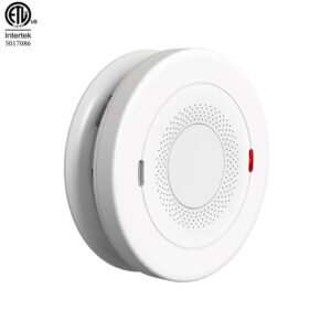 Standalone Smoke Detector